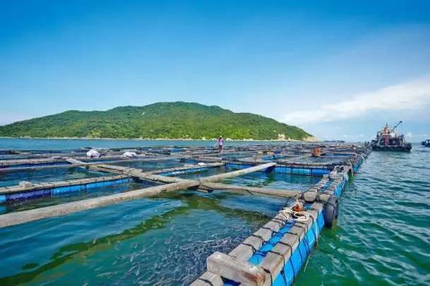 海淼水產(chǎn)進(jìn)出口有限公司引進(jìn)我司水產(chǎn)品質(zhì)量檢測(cè)儀